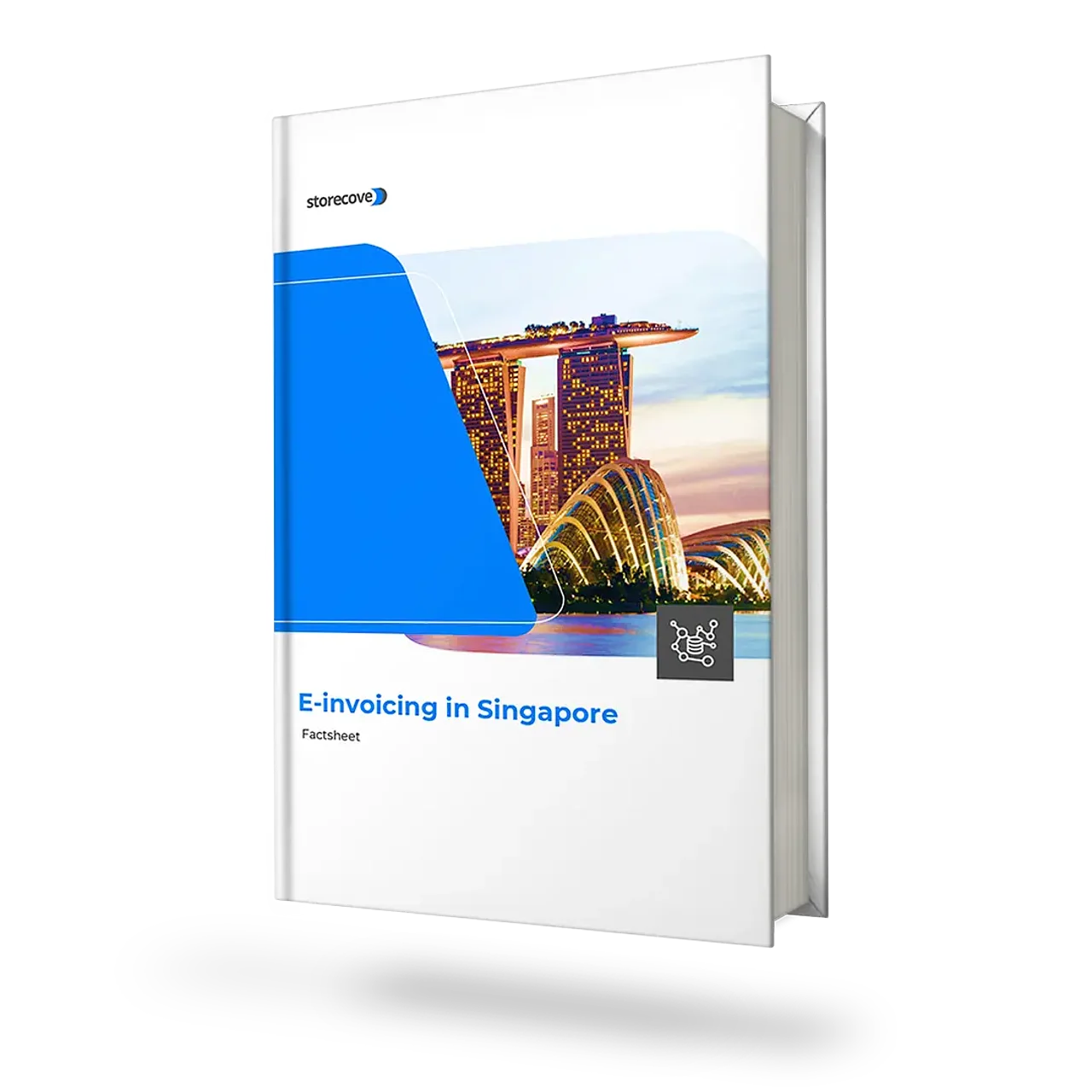 E-invoicing in Singapore